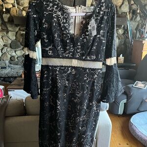 Mystic Elegant Black and Cream Lace Dress